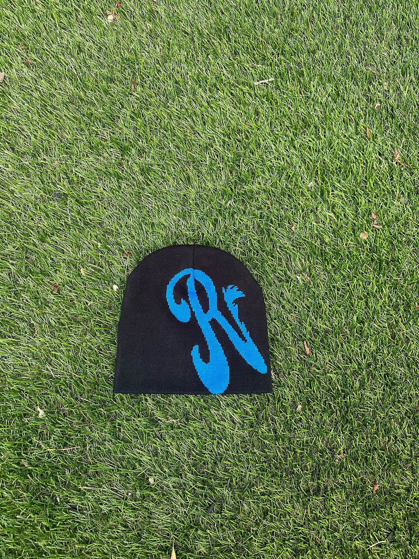 RoadRunner Beanie